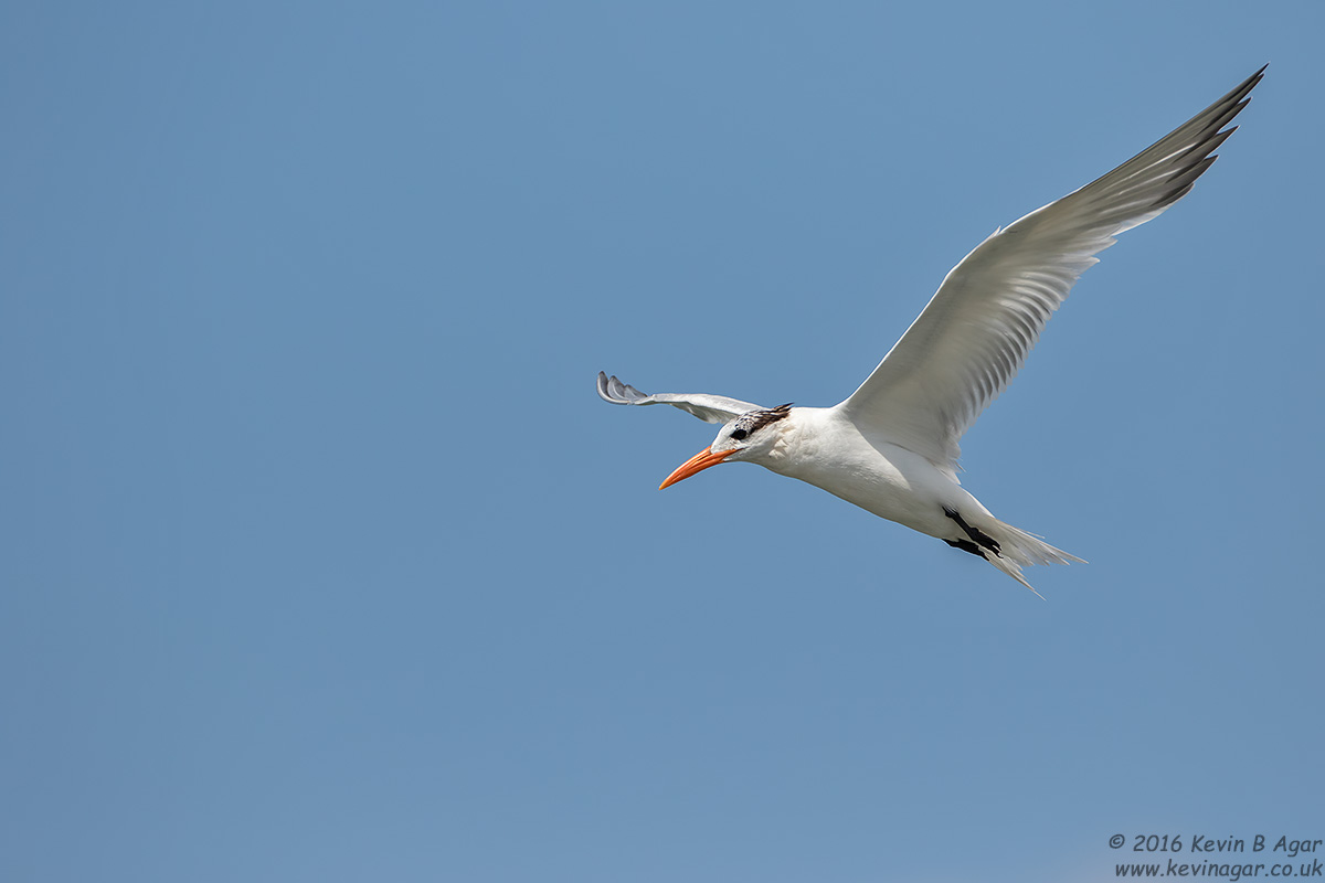 7D2_5058.jpg