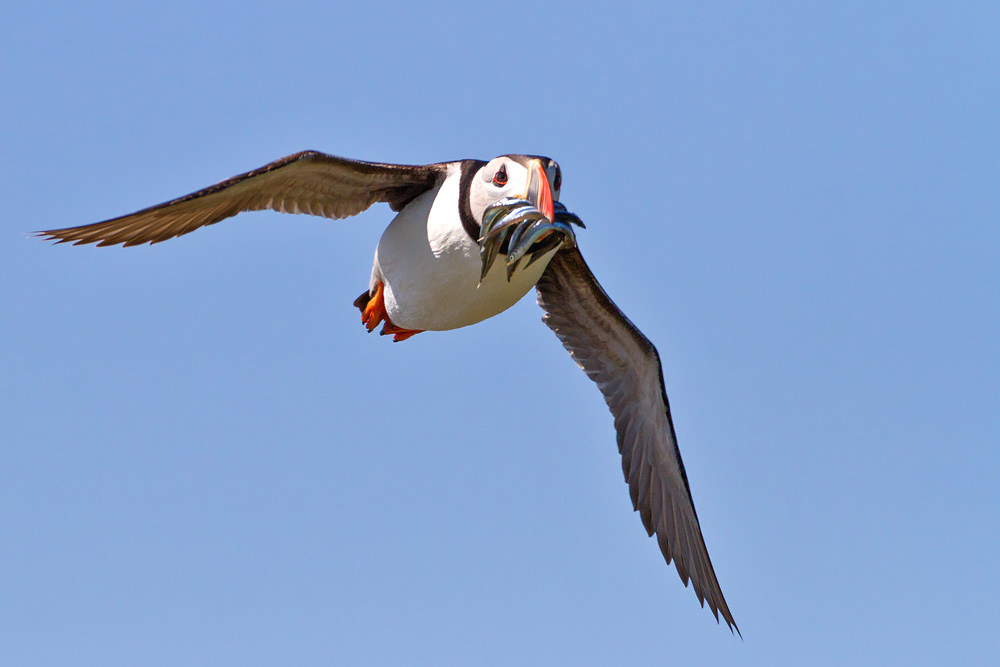 IMG_5285.jpg