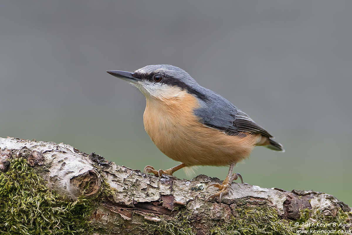 7D2_6803.jpg
