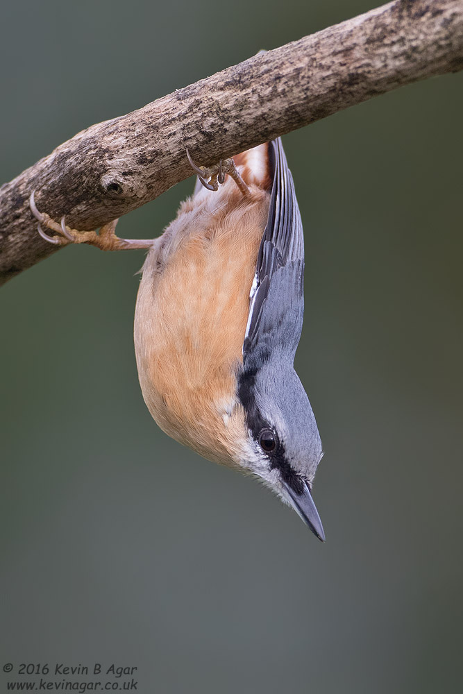 7D2_7010_2.jpg