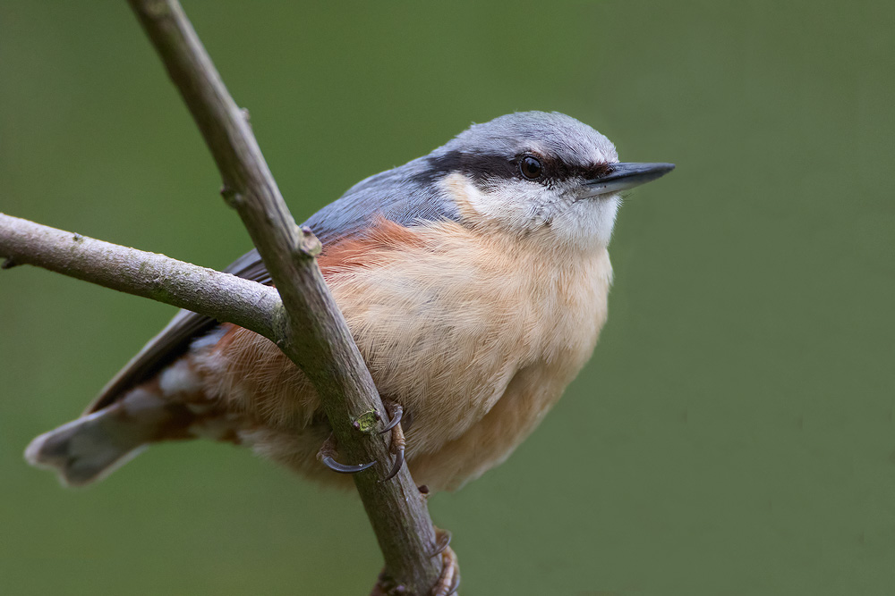 7D2_9074.jpg