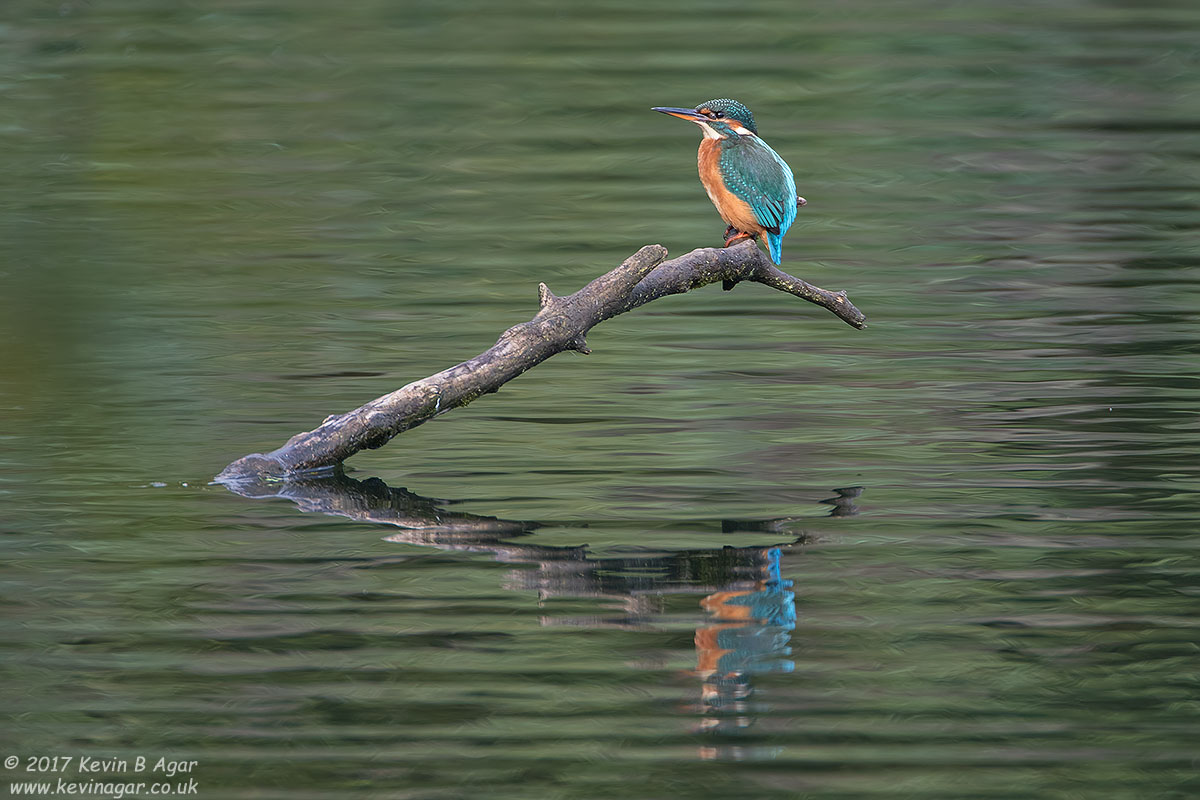7D2_7214.jpg