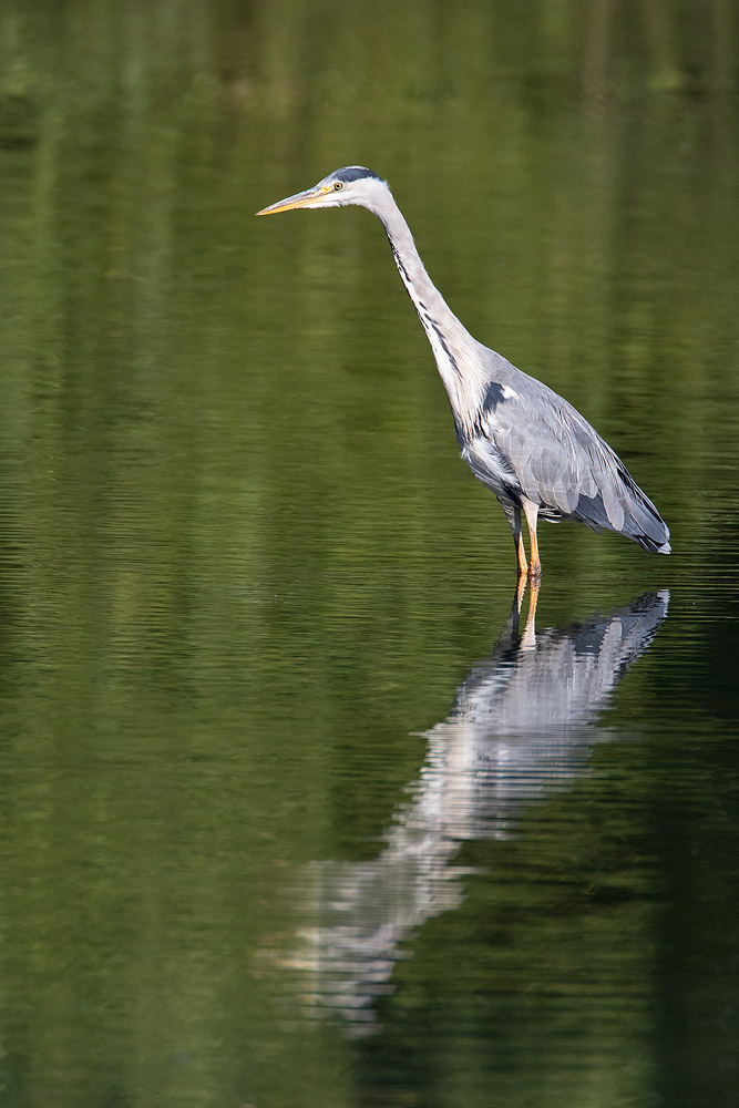 7D2_5013.jpg