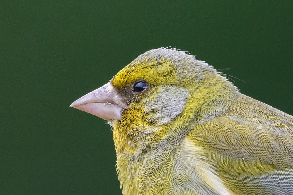 7D2_1276.jpg
