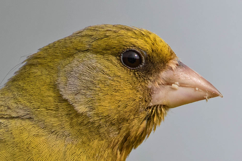 7D2_4042.jpg