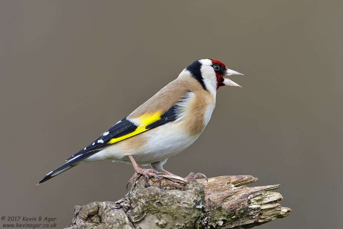 7D2_5552.jpg