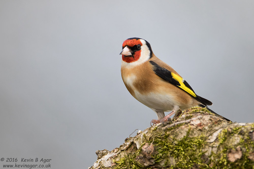 7D2_5798-2.jpg
