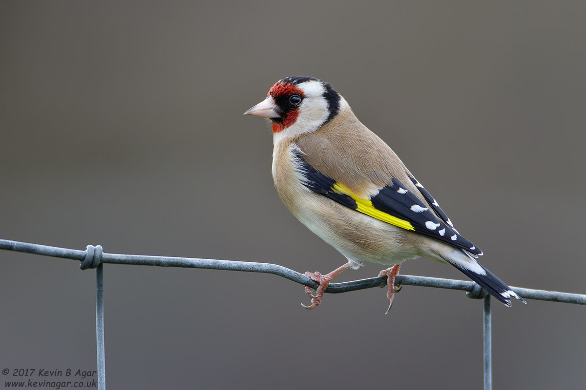 7D2_5812.jpg