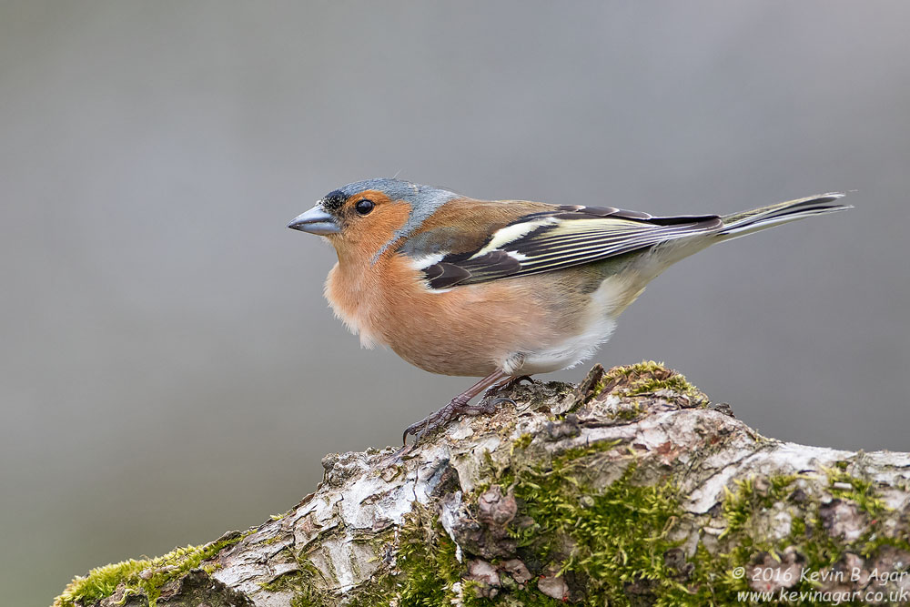 7D2_6606_2.jpg
