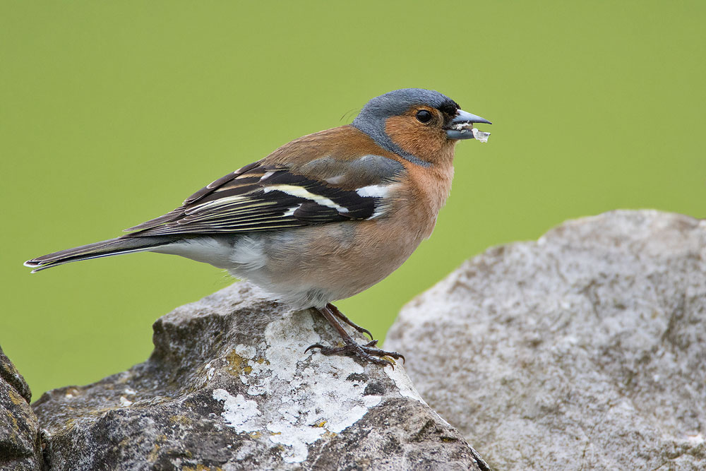 7D2_9844.jpg