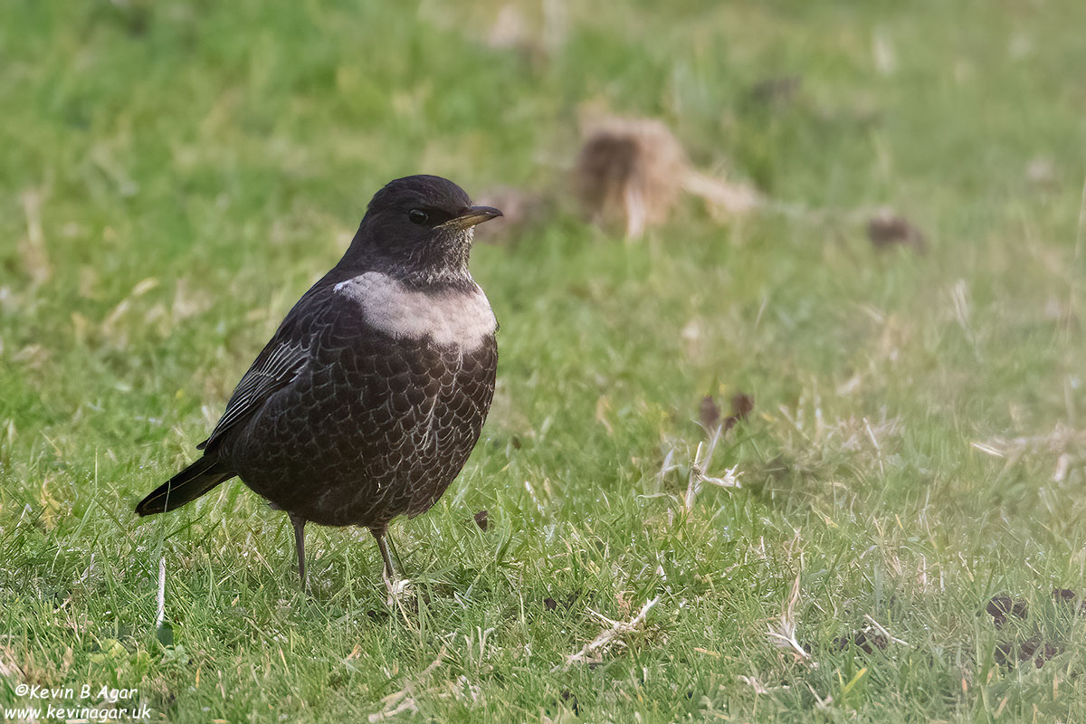 7D2_9823-2.jpg