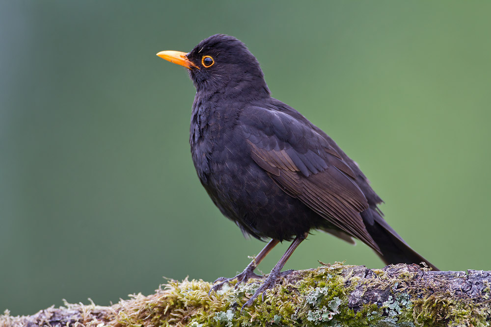 IMG_7845.jpg IMG_7845.jpg