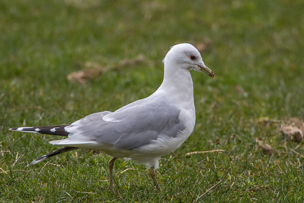 7D2_7878.jpg