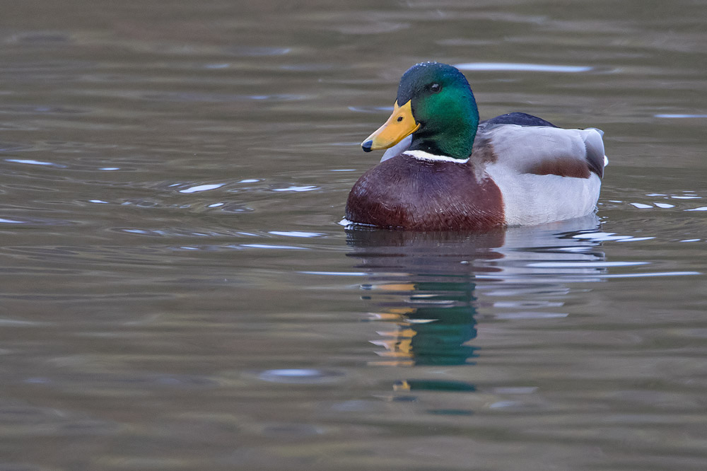 7D2_2323.jpg