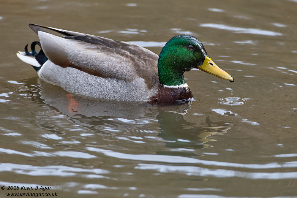 7D2_5029.jpg