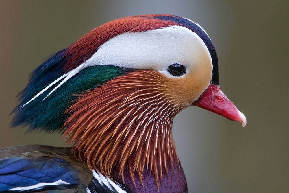 7D2_5805.jpg