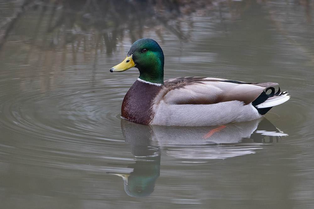 7D2_6189.jpg
