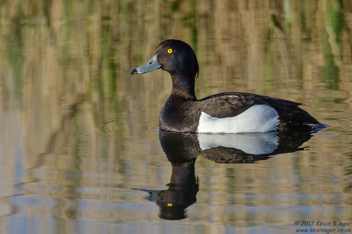 7D2_8255.jpg