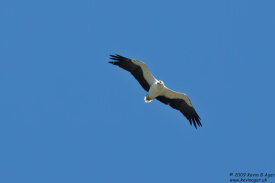IMG_4095.jpg