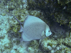 IMG_0361.jpg