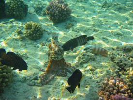 IMG_1990.jpg