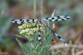 7D2_6871.jpg
