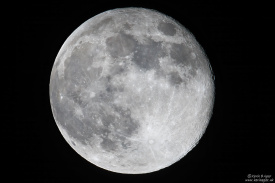 7D2_2228a.jpg