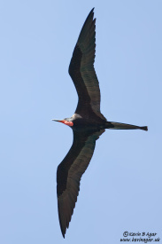 IMG_3404.jpg