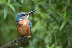 7D2_8103_deselect focus area.jpg